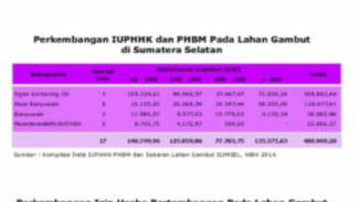 tabel perkembangan izin lahan gambut sumsel