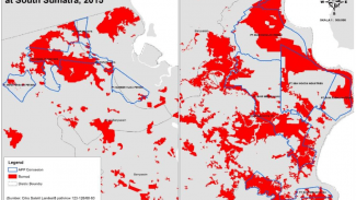 Burn area inside app concession at south sumatera 2015