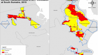 burned peatlands inside of APP Concesion at South Sumatera 2015