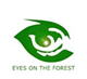 eyesoftheforest