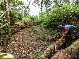 jalan panjang belanda hkm kibuk pagaralam haki