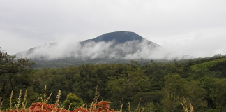 hari huran indonesia 2022 hutankitasultan