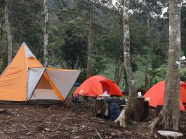 Camping Ground di Areal Perhutanan Sosial, HKM Kibuk Pagaralam sumatera selatan