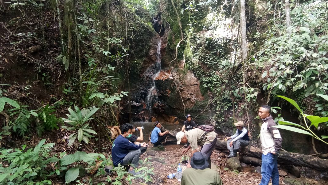 hutan adat punyang sure, Semendo Darat Laut, Muara Enim, SUmatera Selatan