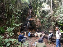 hutan adat punyang sure, Semendo Darat Laut, Muara Enim, SUmatera Selatan